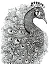 peacock head, black white outline for coloring book page, AI generative coloring card