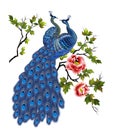 Peacock head on peony branch, painted watercolor with photoshop Royalty Free Stock Photo