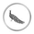 Peacock icon in monochrome style isolated on white background. Bird symbol stock vector illustration. Royalty Free Stock Photo