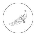 Peacock icon in outline style isolated on white background. Bird symbol stock vector illustration. Royalty Free Stock Photo