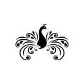 Peacock icon silhouette Logo design isolated on white background