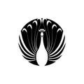 Peacock icon, symbol, logo isolated on white background