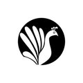 Peacock icon, symbol, logo isolated on white background Royalty Free Stock Photo