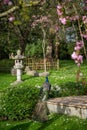 Peacock in Kyoto Garden, a Japanese garden in Holland Park, London, UK Royalty Free Stock Photo