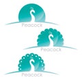 Peacock label