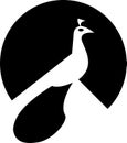 Peacock logo