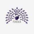 Peacock logo on a bright background. Label with luxurious tail feathers in modern style. Vector illustration Royalty Free Stock Photo