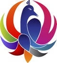 Peacock logo