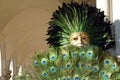 A Peacock Masquerader