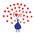 Peacock Open red heart set tail. Word Love text. Zoo animal collection. Exotic tropical bird. Cute cartoon character. Blue color. Royalty Free Stock Photo