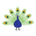 Peacock open tail. Feather out. Beautiful Exotic tropical bird. Zoo animal collection. Cute cartoon character. Decoration Royalty Free Stock Photo
