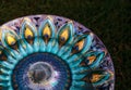 Peacock patterned plate background with purple, gold and yellow Royalty Free Stock Photo