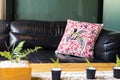 Peacock patterned red pillow is on a black sofa. In front of him was a small potted plant on a brown wooden table Royalty Free Stock Photo