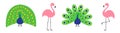 Peacock Pink flamingo set line. Feather out open tail. Exotic tropical bird. Zoo animal collection. Cute cartoon character. Royalty Free Stock Photo