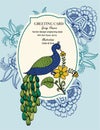 peacock print greeting card vector