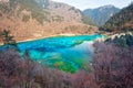 Peacock river in Jiuzhai Valley Royalty Free Stock Photo