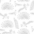 Peacock seamless vector pattern. Birds on a white background. Repeating design for wrapping paper, fabric, wallpaper Royalty Free Stock Photo