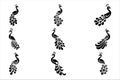 Peacock silhouette vector design black and white flat icon mehndi peacock vector tattoo Royalty Free Stock Photo