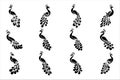 Peacock silhouette vector design black and white flat icon mehndi peacock vector tattoo Royalty Free Stock Photo