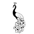 Peacock. Peacock simple black and white line art vector logo Royalty Free Stock Photo