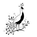 Peacock. Peacock simple black and white line art vector logo Royalty Free Stock Photo