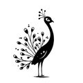 Peacock. Peacock simple black and white line art vector logo Royalty Free Stock Photo