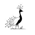 Peacock. Peacock simple black and white line art vector logo Royalty Free Stock Photo