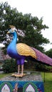 Peacock statue at Little India, Singapore