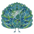 Peacock. Vintage fantasy bird with floral ornament.