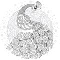 Peacock in zentangle style. Adult antistress coloring page. Royalty Free Stock Photo