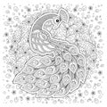 Peacock in zentangle style. Adult antistress coloring page.