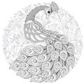 Peacock in zentangle style. Adult antistress coloring page. Royalty Free Stock Photo