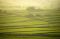 Peak distict national park derbyshire england longstone moor Royalty Free Stock Photo