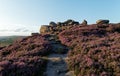 Peak District moors with heather in bloom Royalty Free Stock Photo