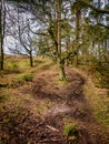 The Peak District, Staffordshire