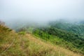 Peak green mountain in valley with foggy Royalty Free Stock Photo