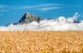 Peak Krivan in High Tatras mountains, Slovakia. Gold wheat field Royalty Free Stock Photo