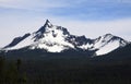 Mount Thielsen Peak and Wilderness Forest Royalty Free Stock Photo