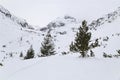 Peak in the mountain covered with snow