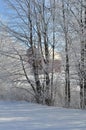 Peaking through the trees at the barn after a Winter Ice Storm Royalty Free Stock Photo