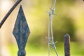 Peaks and barbed wire on a green background Royalty Free Stock Photo