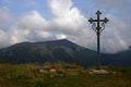 The peaks of the Carpathian Mountains. Mountain ranges covered with forests under blue clouds Royalty Free Stock Photo