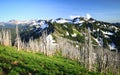 Peaks of the Gifford Pinchot Royalty Free Stock Photo