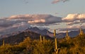 Desert Scene Against Four Peaks Mt. Royalty Free Stock Photo