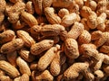 Closeup to Peanuts in sunshine Royalty Free Stock Photo