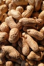 Closeup to Peanuts in sunshine Royalty Free Stock Photo