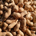 Closeup to Peanuts in sunshine Royalty Free Stock Photo