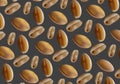 Peanut bean angiospermae cector illustration with isolated dark background.