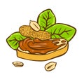 Peanut butter on bread doodle vector icon. Cartoon illustration of peanut icon for web design. Nuts hand drawn emblems and labels Royalty Free Stock Photo