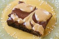 Peanut butter and chocolate brownies Royalty Free Stock Photo
